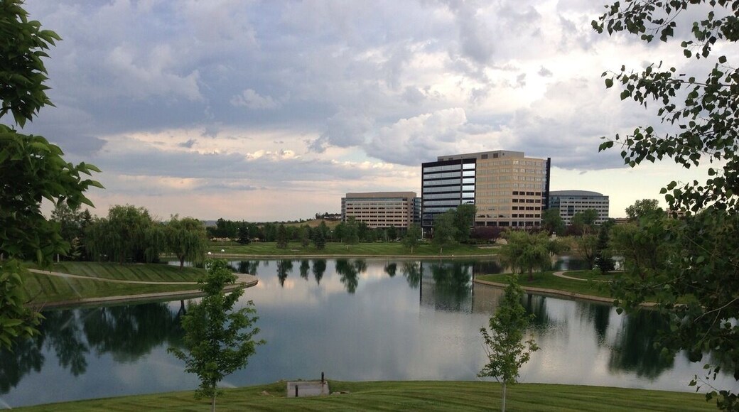 Nice little pond with swans, there is a path around used for walking, running and bike riding. Plus some benches to sit on.