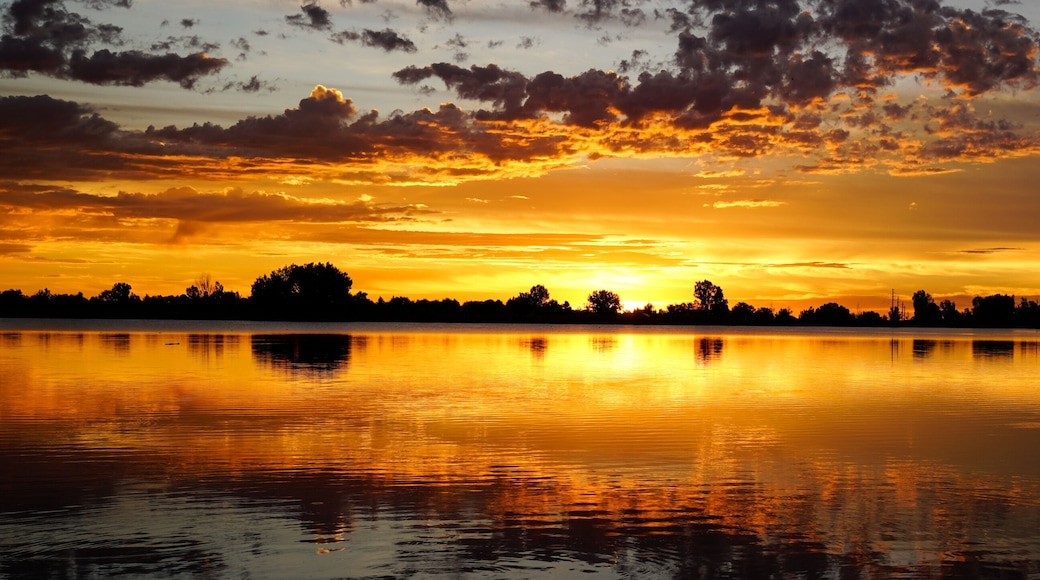 Broomfield