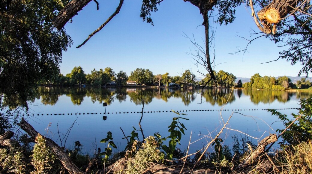 A walk around Nissen Reservoir Number 2 is fun get away in #mybackyard with its over hanging trees and itâs calm and reflective water.
#trovember #colorado #broomfield #reflections