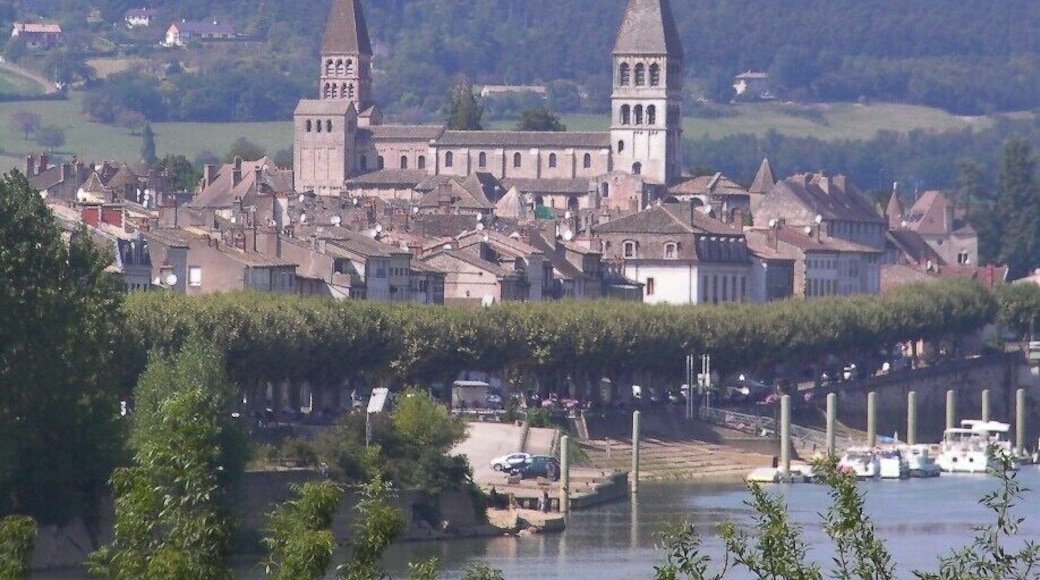 Viewed from the bridge over the Saone.