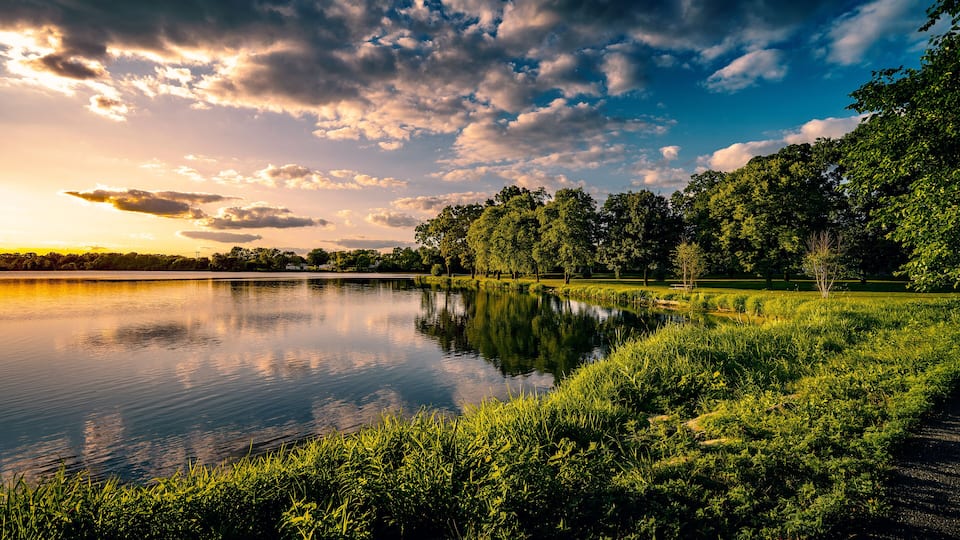 A calm lake reflecting trees and sky, surrounded by lush greenery.