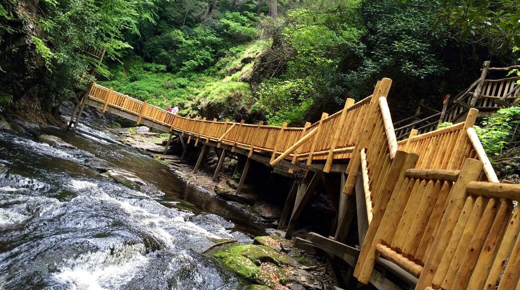 Bushkill Falls is a series of eight waterfalls, the tallest of which cascades over 100 feet (30 m), located in Northeast Pennsylvania's Pocono Mountains in the USA. Beginning at the headwaters of Little Bushkill Creek, the water descends the mountain, toward the Delaware River, forming Bushkill Falls, Bridal Veil Falls, Bridesmaid Falls, Laurel Glen Falls, Pennell Falls, and three additional, unnamed falls. #Bestof5