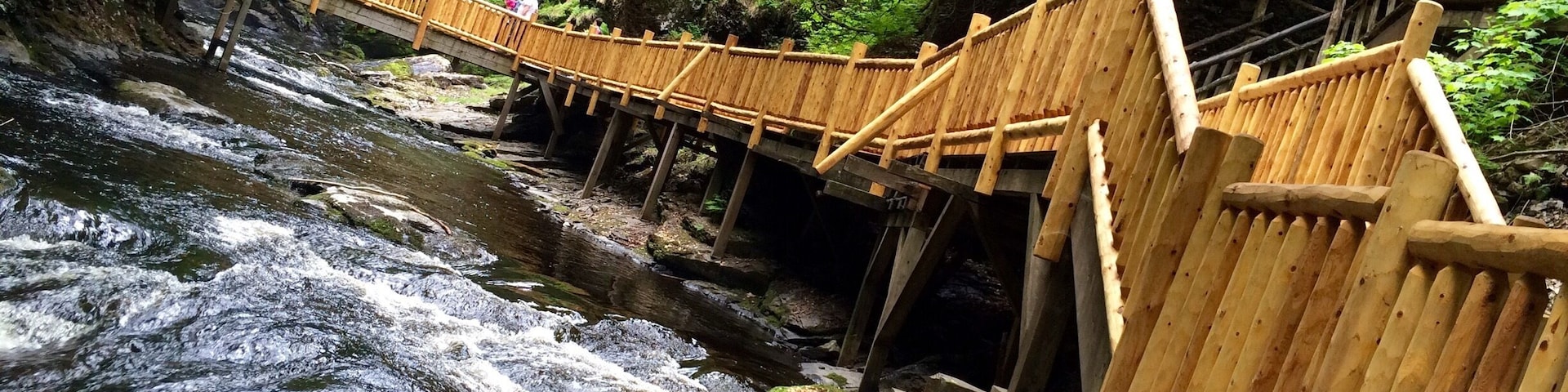 Bushkill Falls is a series of eight waterfalls, the tallest of which cascades over 100 feet (30 m), located in Northeast Pennsylvania's Pocono Mountains in the USA. Beginning at the headwaters of Little Bushkill Creek, the water descends the mountain, toward the Delaware River, forming Bushkill Falls, Bridal Veil Falls, Bridesmaid Falls, Laurel Glen Falls, Pennell Falls, and three additional, unnamed falls. #Bestof5