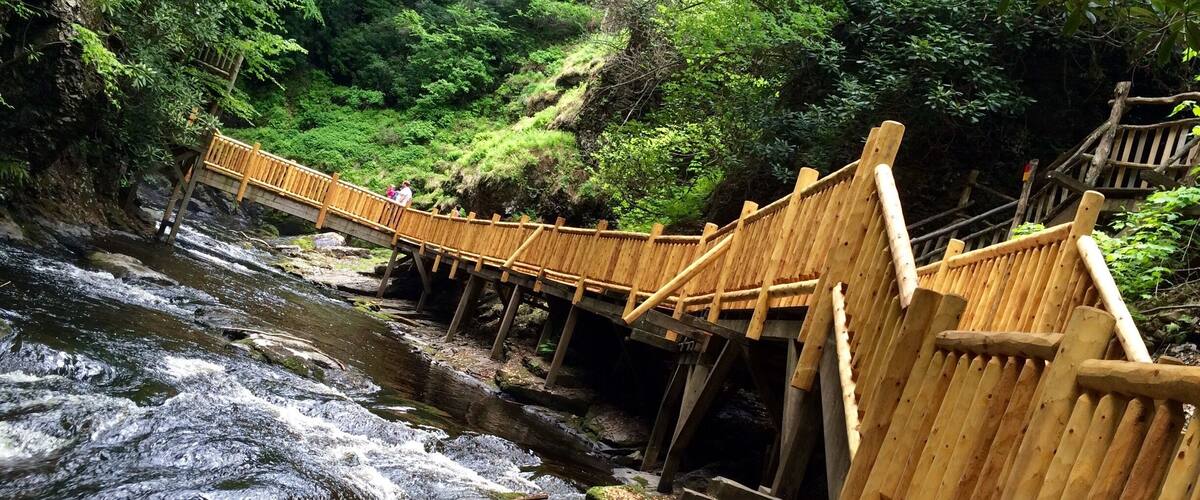 A wooden bridge over a flowing river surrounded by lush greenery.