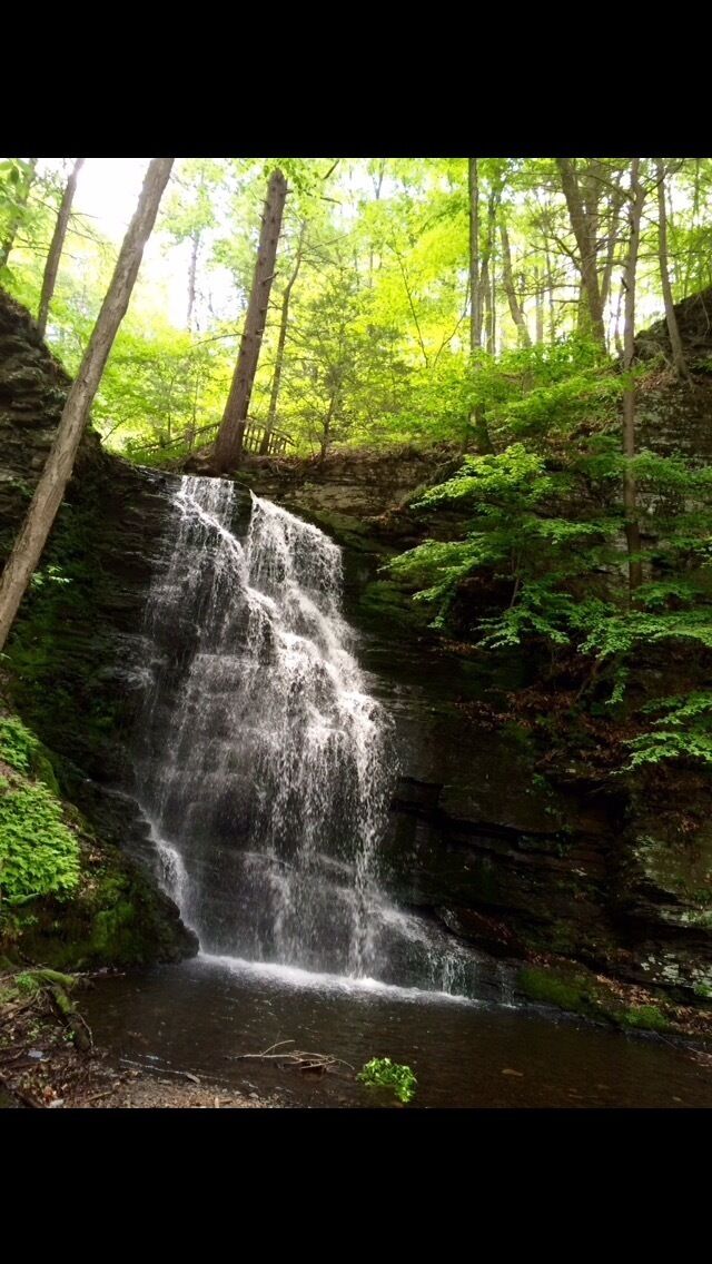 Bushkill Falls State Park