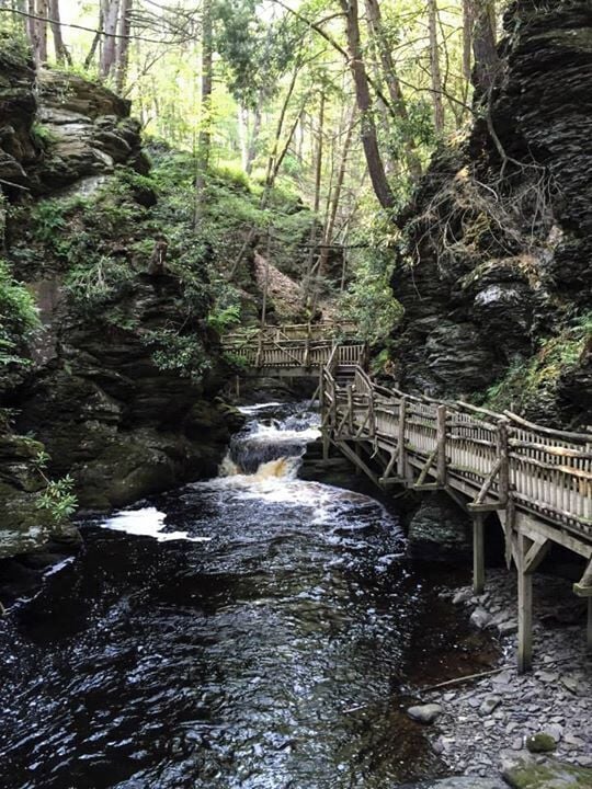 A wooden bridge over a rocky stream in a forested area.