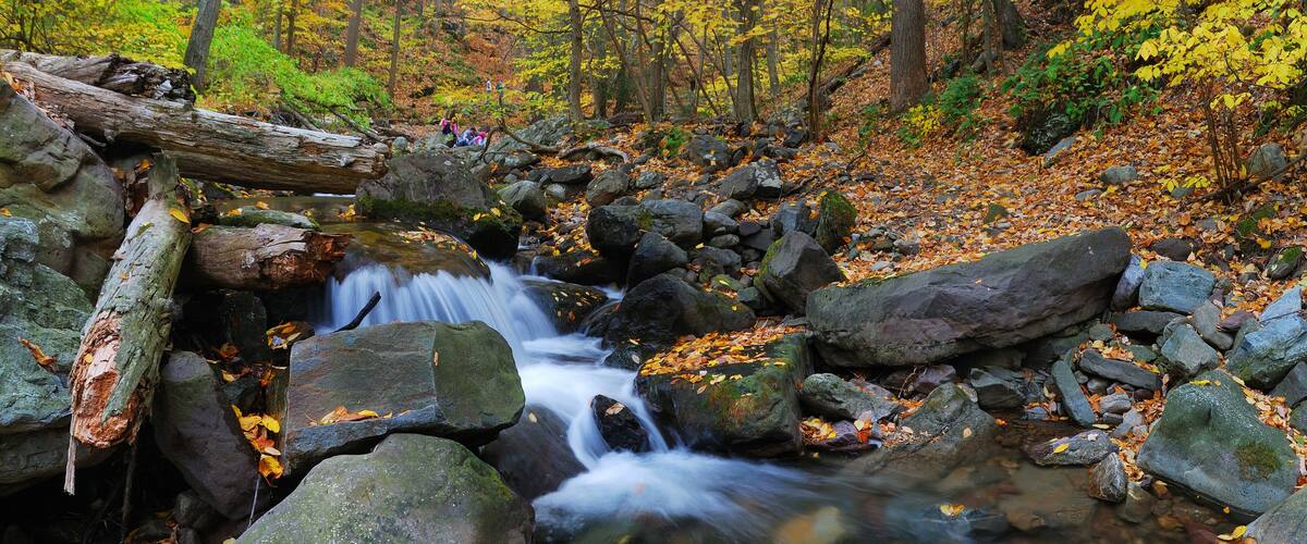 Autumn creek in forest