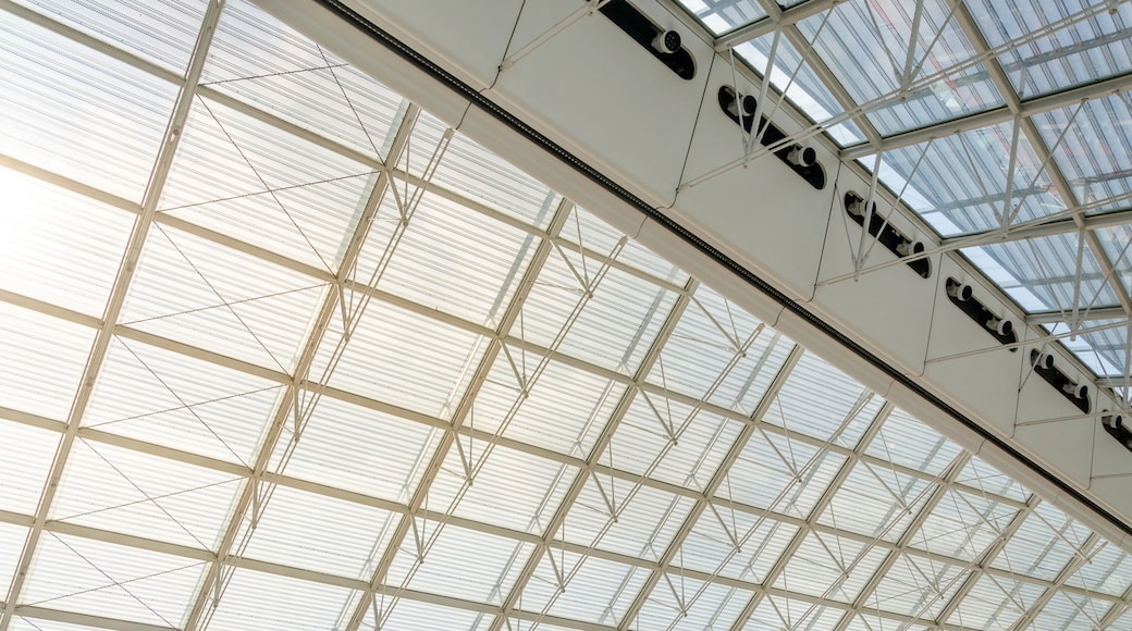 Futuristic Roof Structure Detail of Charles de Gaulle airport in