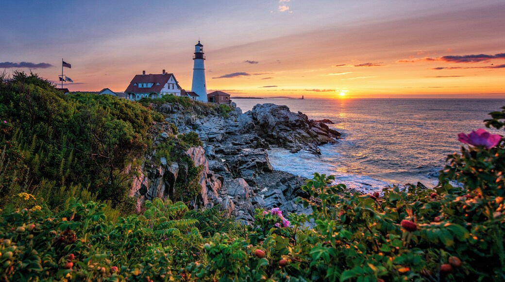 Breathtaking sunrises and views of the Atlantic, a wonderful lighthouse, and a huge beautiful park, what else can you ask for? We went there very early on a cold September morning and it was worth the effort. The place is in the middle of a big park with plenty of parking spaces.
#MyBackyard