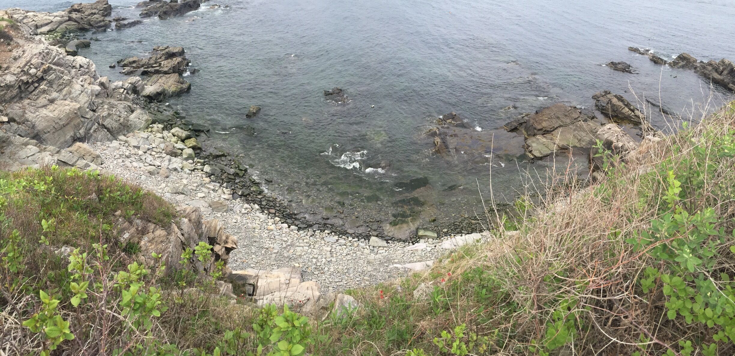 A rocky shoreline with clear water and vegetation.