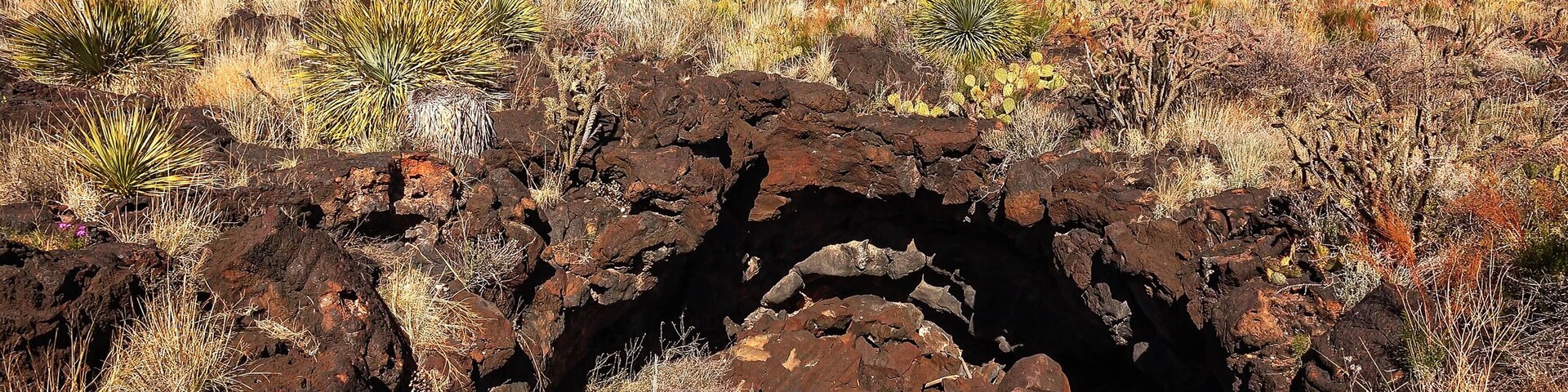 Bat Cave at Valley of Fires Recreation Area in New Mexico