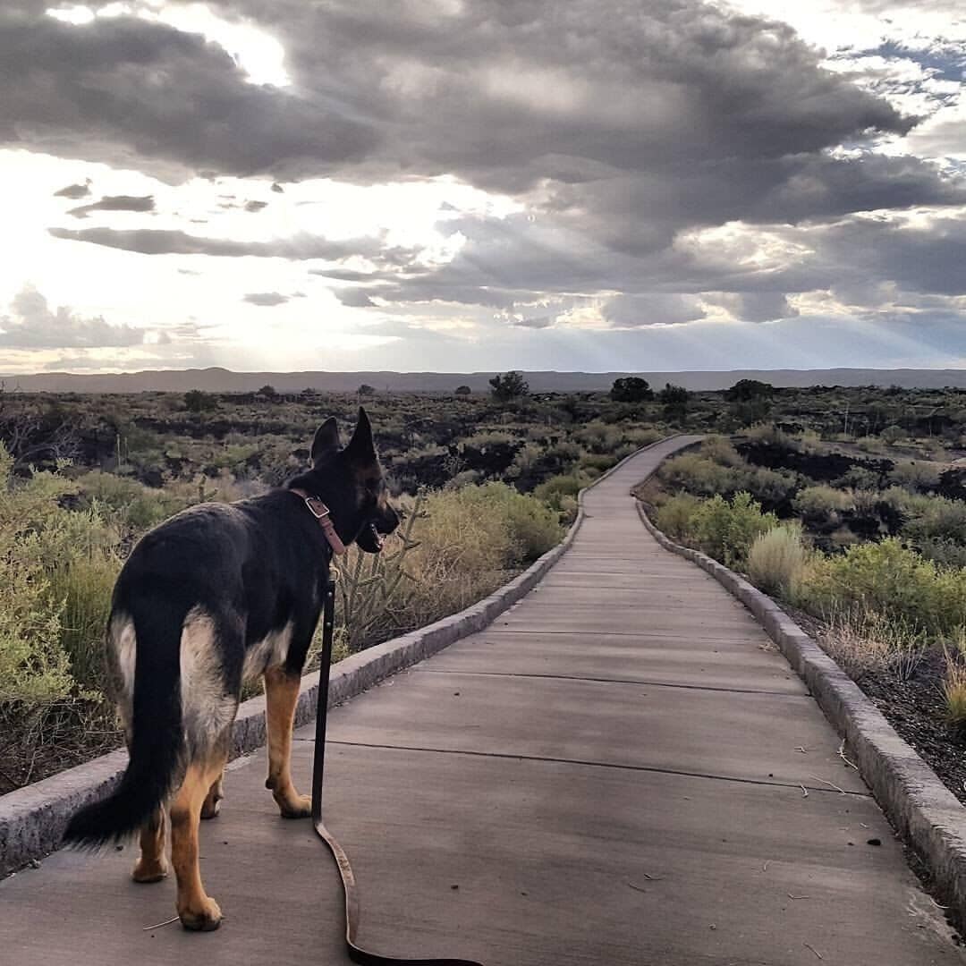 Walk where lava once flowed, endless trail in the valley of fire. #adventure