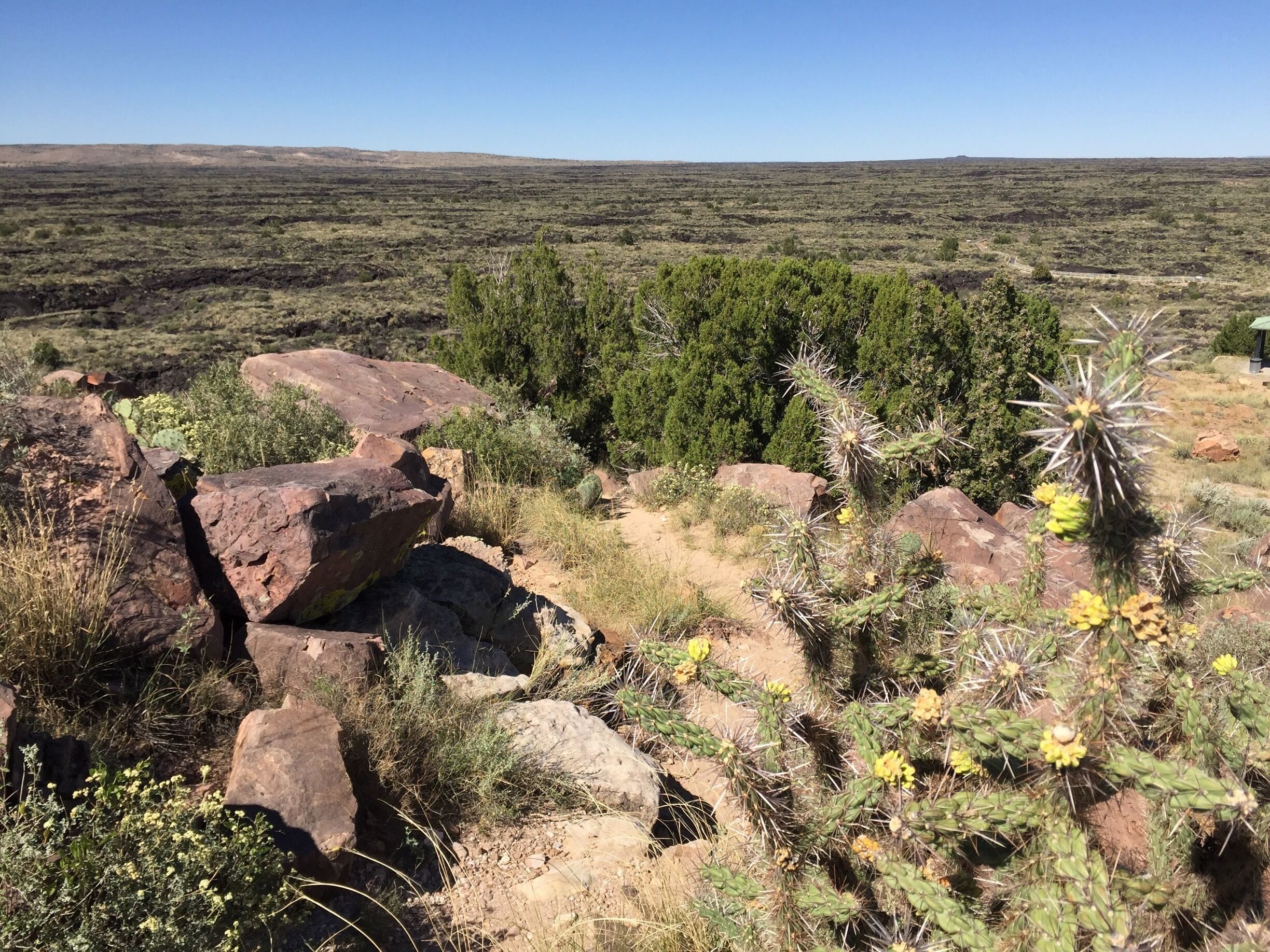 Valley of Fires lies outside Carrizozo, New Mexico - a vast, cooled lava bed teeming with life as desert plants take root in the smallest cracks in the volcanic tundra 