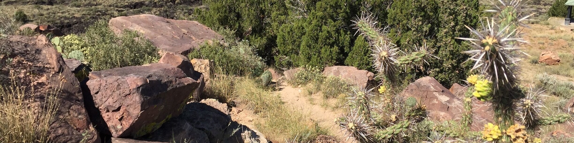 Valley of Fires lies outside Carrizozo, New Mexico - a vast, cooled lava bed teeming with life as desert plants take root in the smallest cracks in the volcanic tundra