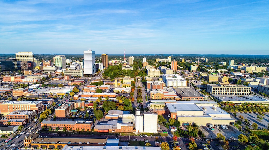 Downtown Columbia South Carolina Skyline SC Aerial