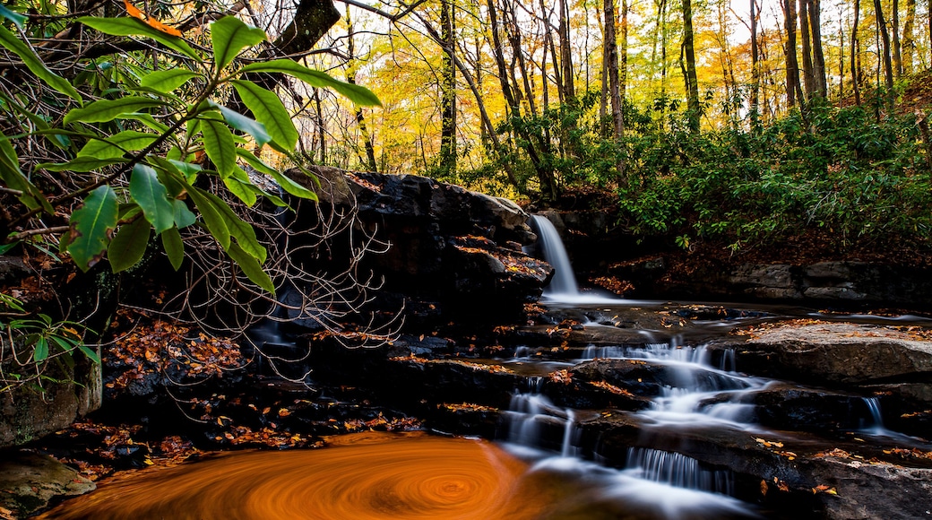 Waterfall & Autumn Colors - Fechter Run Falls - Ohiopyle State Park - Pennsylvania