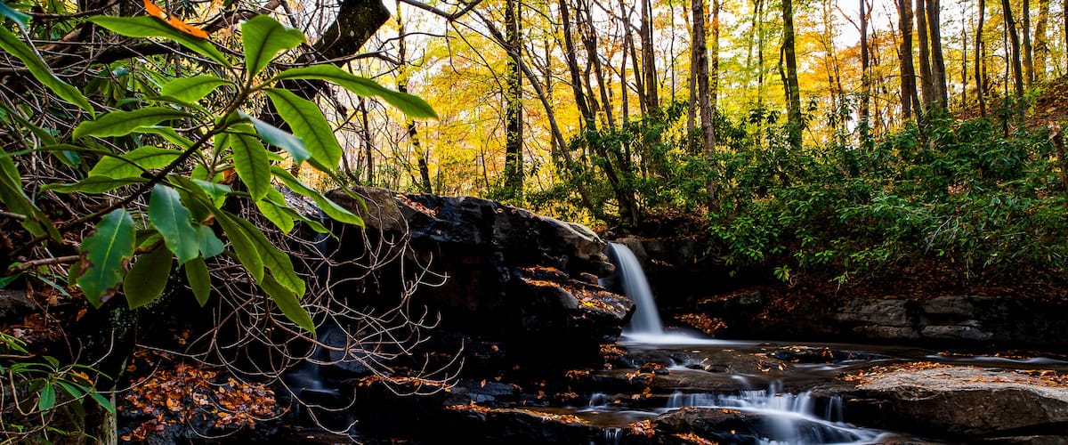 Waterfall & Autumn Colors - Fechter Run Falls - Ohiopyle State Park - Pennsylvania