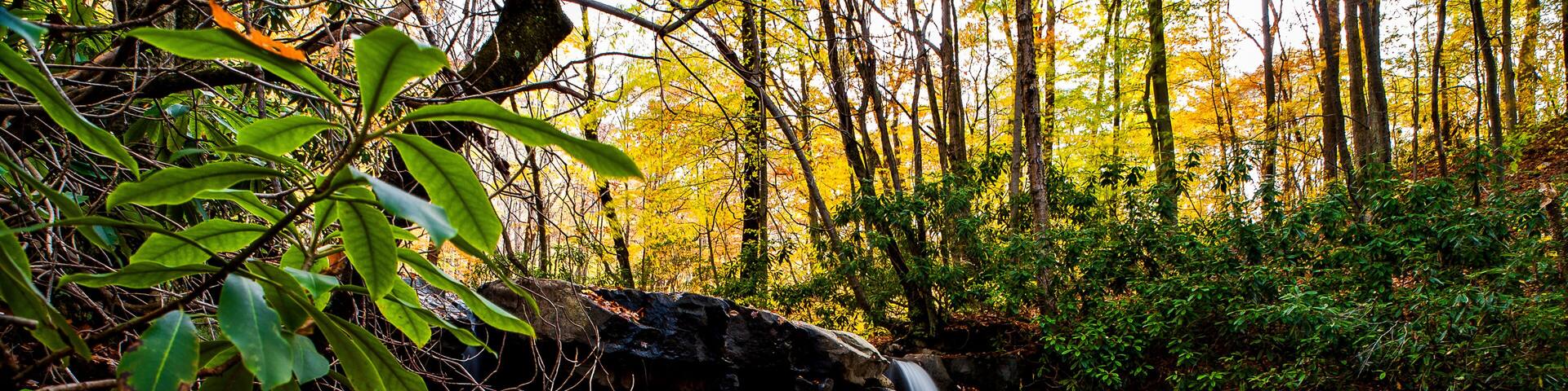 Waterfall & Autumn Colors - Fechter Run Falls - Ohiopyle State Park - Pennsylvania