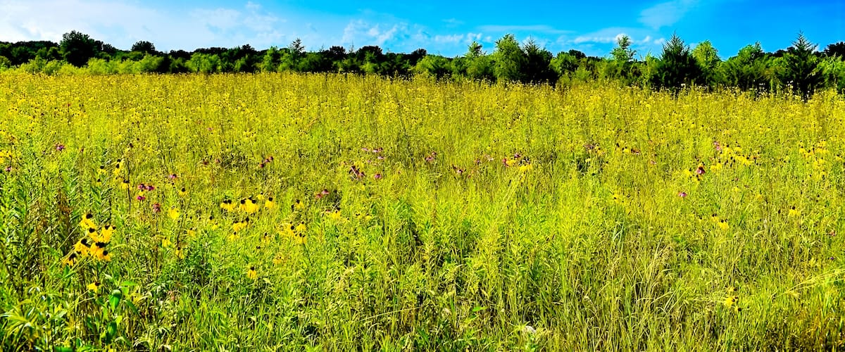 Near Nashua Iowa