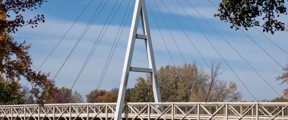 A cable-stayed bridge with a central tower and multiple cables.