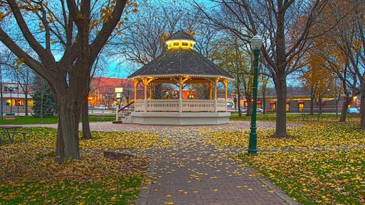 Gazebo at Dusk in Chaska