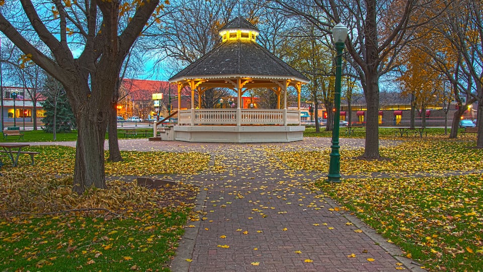 A gazebo in a park with fallen leaves and trees.