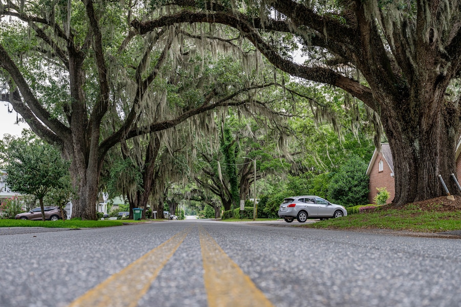 A street lined with large trees covered in Spanish moss, a parked car, and a house on the right.