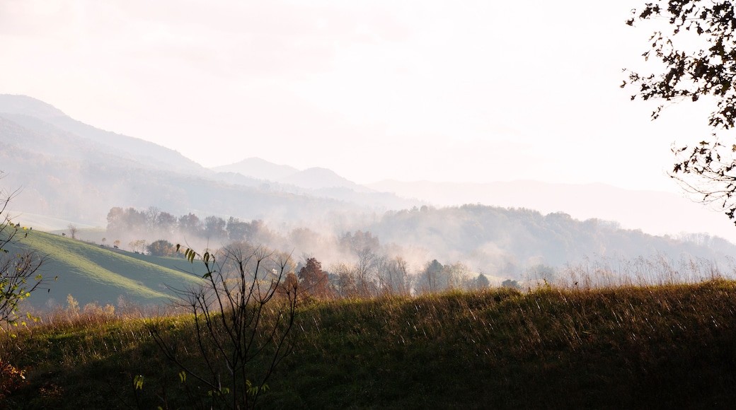 Misty mountains in Appalachia, Chilhowie, Virginia
