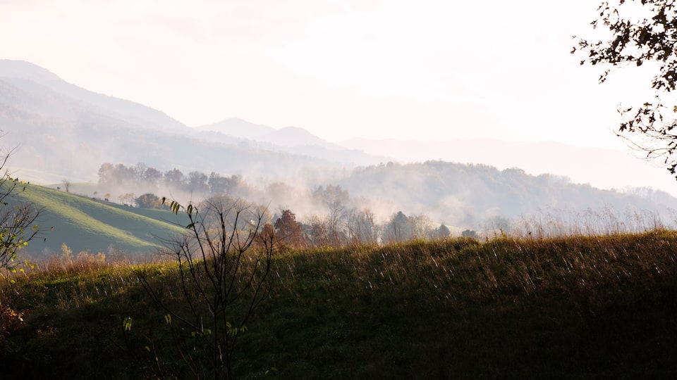 Misty mountains in Appalachia, Chilhowie, Virginia