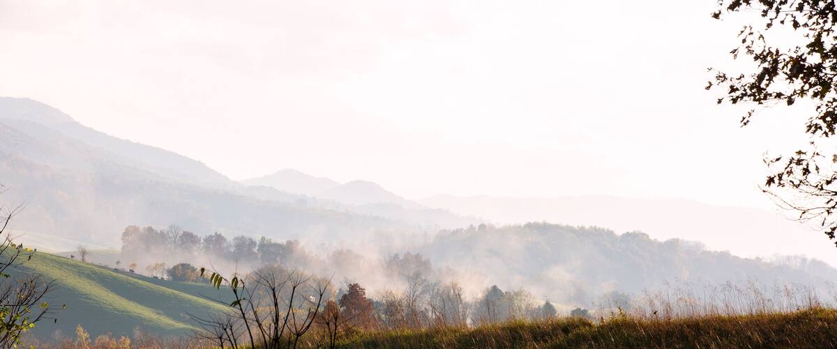 A misty valley with rolling hills and scattered trees.