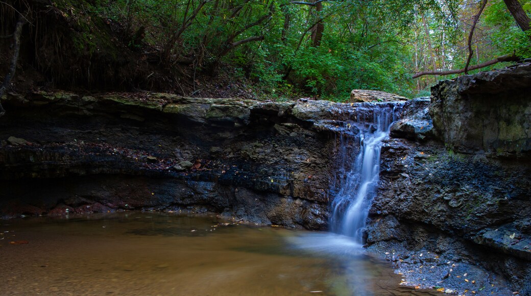A Small Waterfall - Indy Creek In Independence Park - Marquette Heights, Illinois