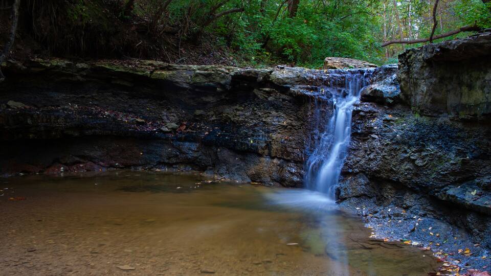 A waterfall in a forested area with a rocky foreground and a pool of water at the base.