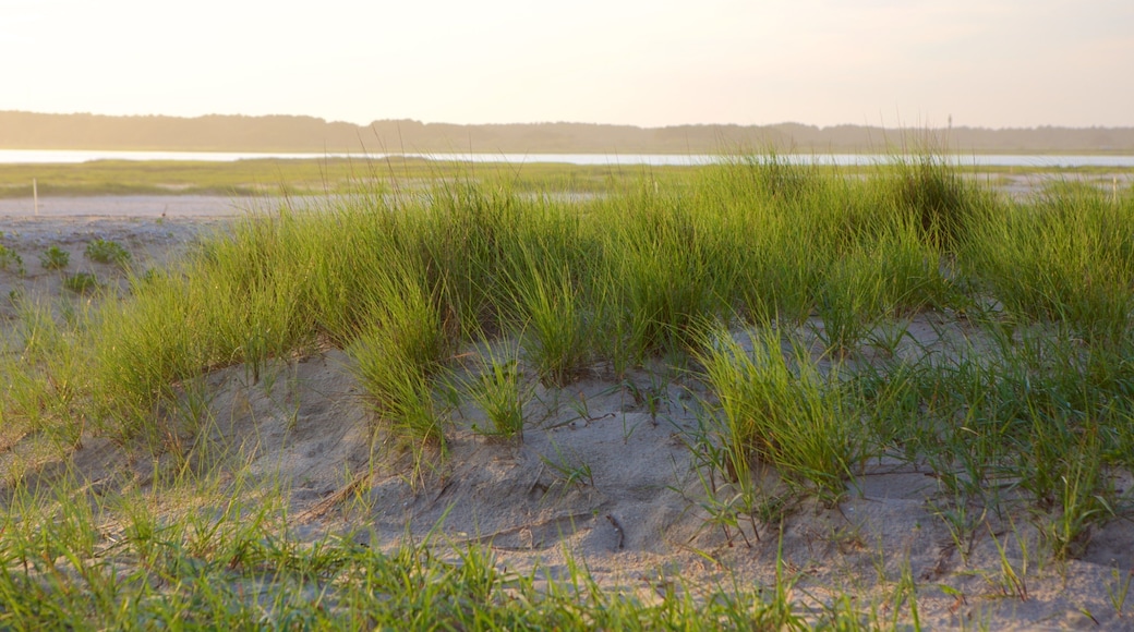 ์ ์ปคํฐ๊ทธ ์ด ํฌํจ ์ผ๋ฐ ํด์ ์ ๊ฒฝ ๊ณผ ๋ชจ๋ ํด๋ณ