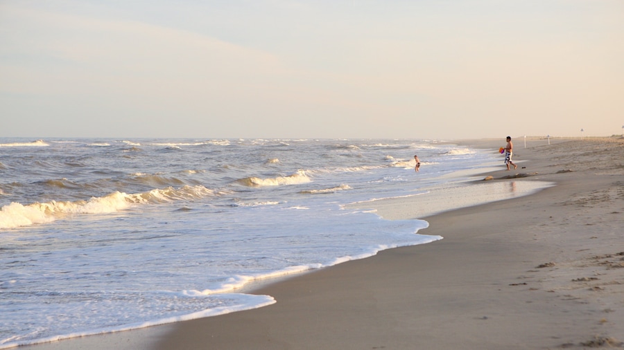Chincoteague which includes surf and a sandy beach