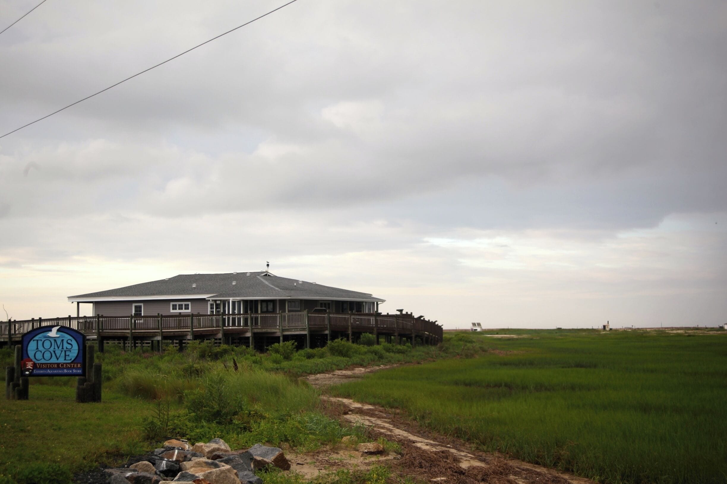 Stop at Tom's Cove for information about this end of Assateague Island.  The park rangers are all friendly and happy to share information about the park and the horses.