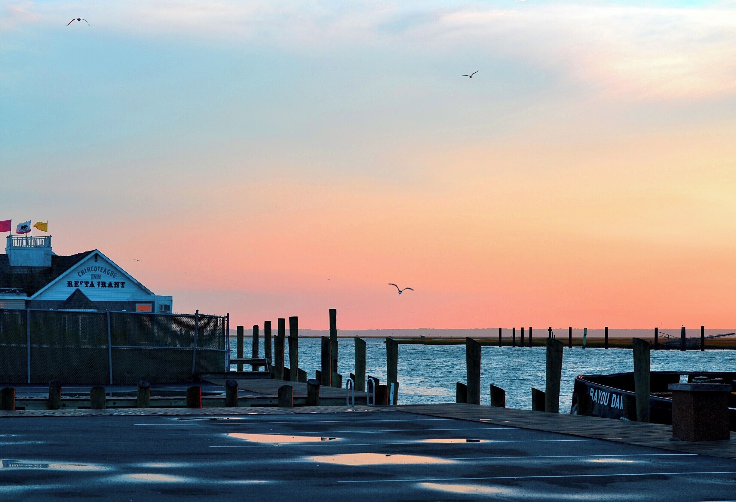 Chincoteague Island is near the Assateague Island National Seashore, http://www.nps.gov/asis/index.htm. The Assateague Island is the home of the wild horses you may have read about in Marguerite Henry's book Misty of Chincoteague. The horses still live on Assateague and every year they swim across the channel to Chincoteague for the "pony penning," where some are auctioned off.