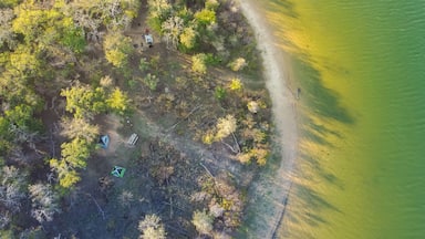 Curved shoreline and remote waterfront primitive camping sites with tents at Isle du Bois Ray Roberts Lake State Park lush green tree forest near Denton, Texas, US aerial view