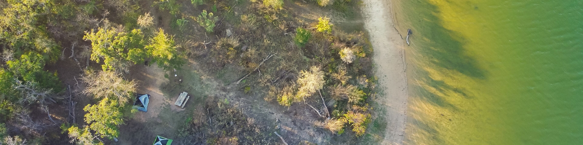 Curved shoreline and remote waterfront primitive camping sites with tents at Isle du Bois Ray Roberts Lake State Park lush green tree forest near Denton, Texas, US aerial view