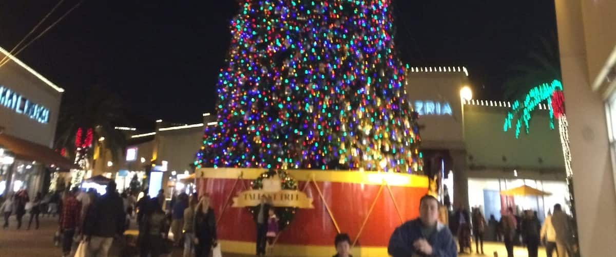 Longest Christmas tree in the world...