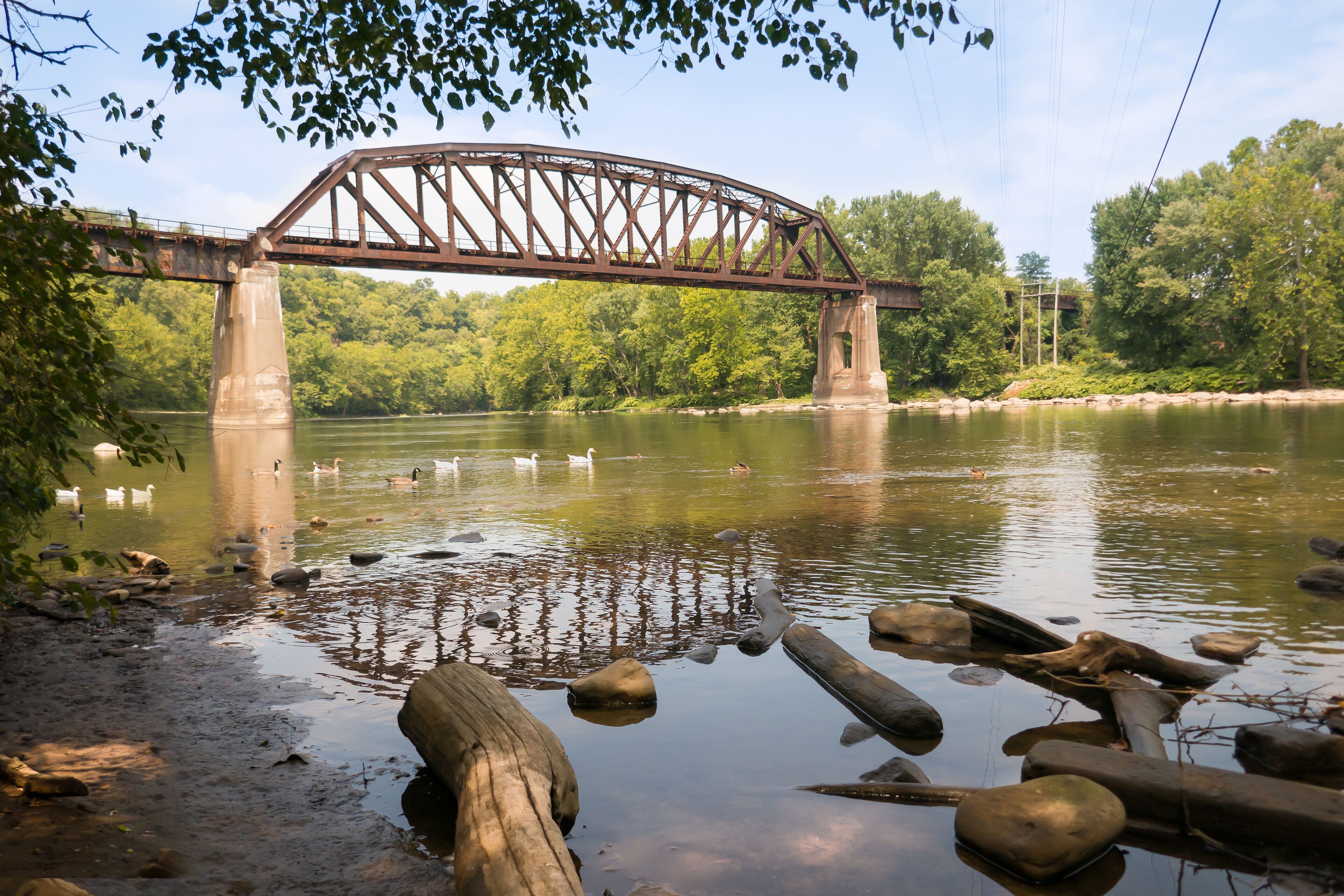 Abandoned railroad bridge over the Youghiogheny River at Connellsville, Pennsylvania, with swans