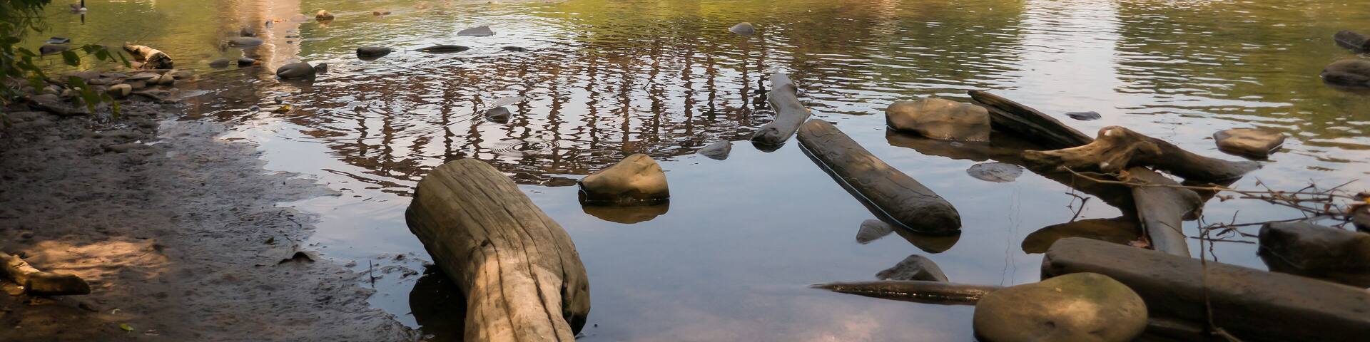 Abandoned railroad bridge over the Youghiogheny River at Connellsville, Pennsylvania, with swans