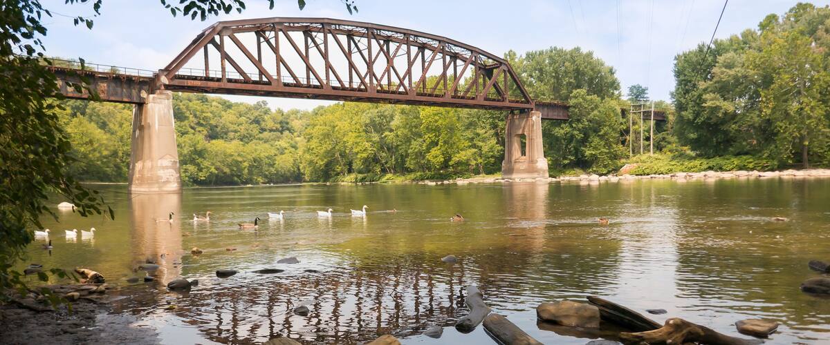 A steel bridge over a river with ducks swimming, surrounded by trees and rocks.