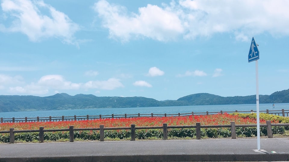 A pedestrian crossing sign, a road with a metal guardrail, and a flower bed with red flowers.