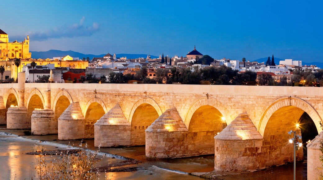 Roman Bridge and Guadalquivir river, Great Mosque, Cordoba, Spai
