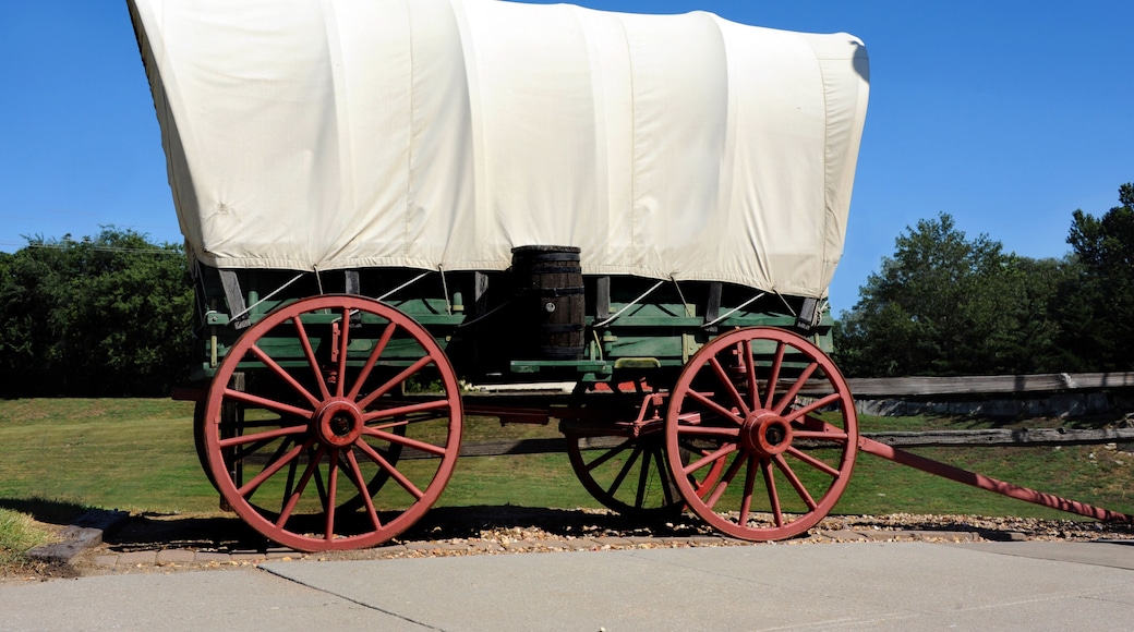 كاونسيل جروف