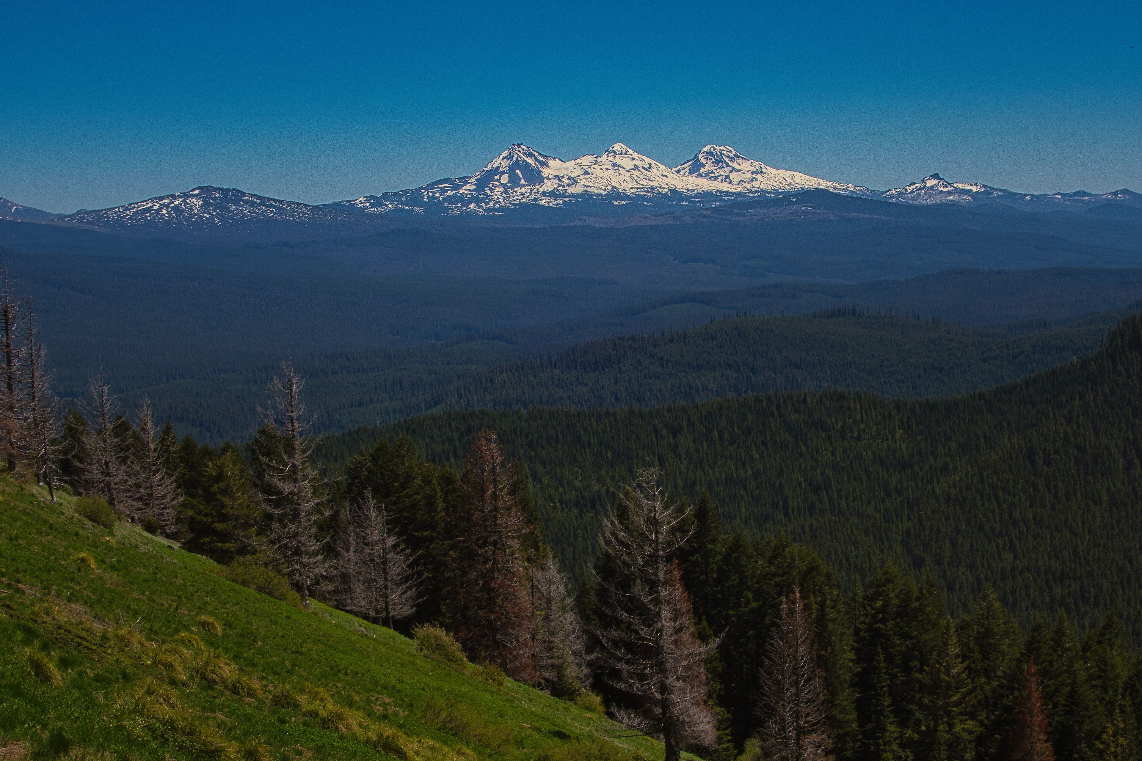 Amazing view of Three Sisters in Oregon Cascades from Crescent Mountain on a wonderful summer day hike