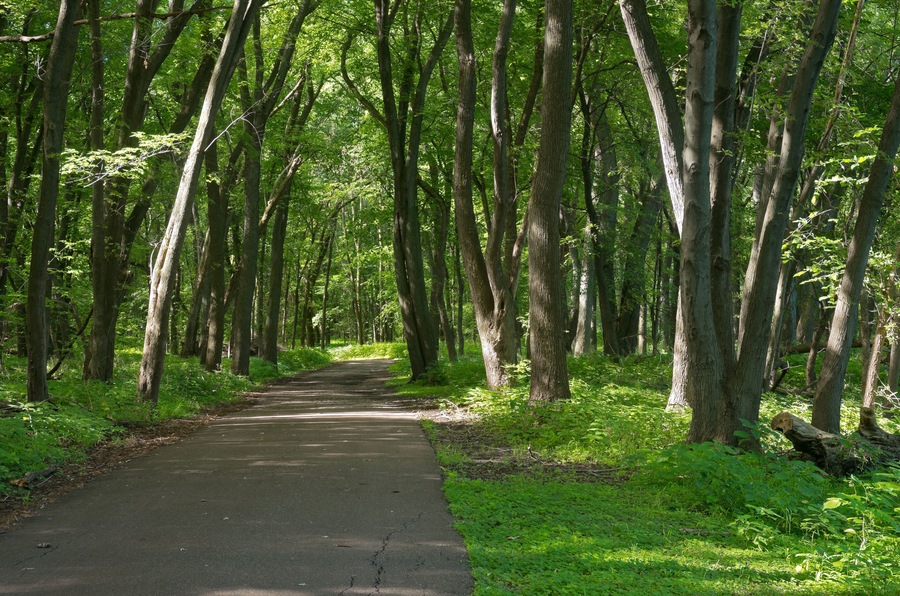 crosby farm woodland trail