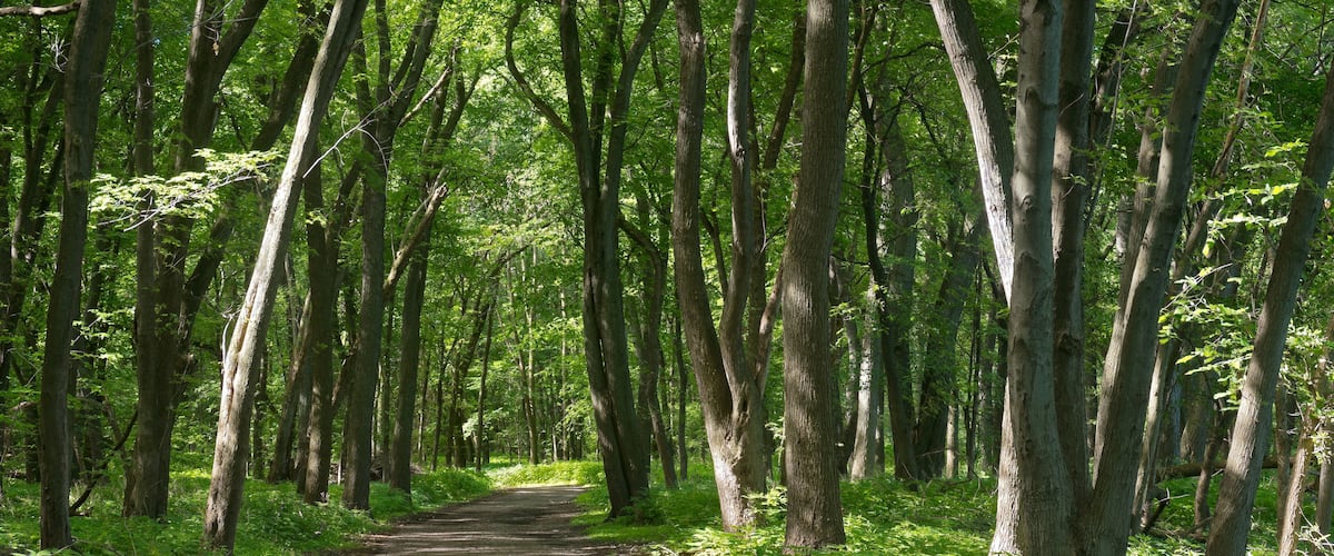 crosby farm woodland trail
