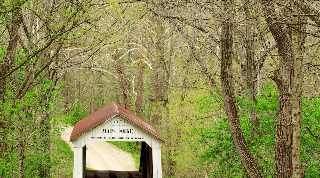 609-98 Marshall Covered Bridge