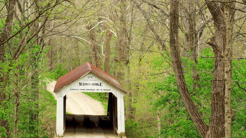 A small white bridge with a sign reading "1917 Marston's Bridge, Cross this bridge at a walk."